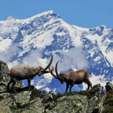 Visita guidata al Parco Nazionale- 11 Marzo