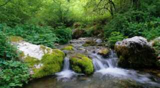 Visita guidata al Parco Nazionale- 11 Marzo