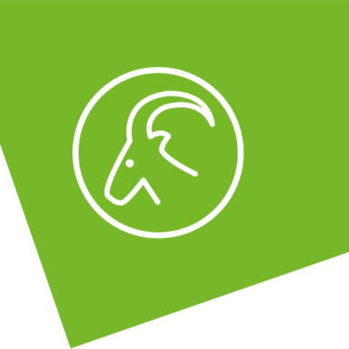 Ente Parco Nazionale